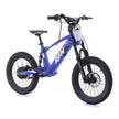 RFN EVO RACING 18'' KIDS E-BIKE E-MOTO E-BMX 500W 36V 5AH BATTERY
