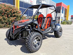 300cc Fuel Injected Buggy Off-Road