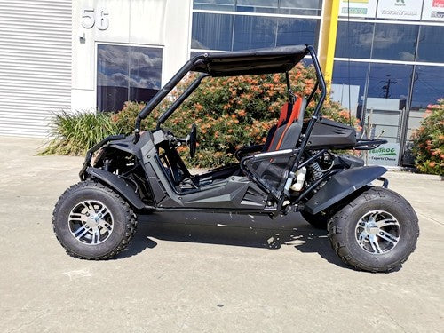 300cc Fuel Injected Buggy Off-Road