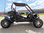 300cc Fuel Injected Buggy Off-Road