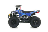 Apollo RFZ COMMANDER 110 KIDS QUAD 2026 Model
