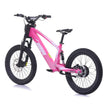 RFN EVO RACING 20'' E-BMX E-MOTO E-BIKE 750W 36V 5AH