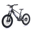 RFN EVO RACING 20'' E-BMX E-MOTO E-BIKE 750W 36V 5AH