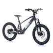 RFN EVO RACING 20'' E-BMX E-MOTO E-BIKE 750W 36V 5AH