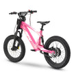 RFN EVO RACING 18'' KIDS E-BIKE E-MOTO E-BMX 500W 36V 5AH BATTERY