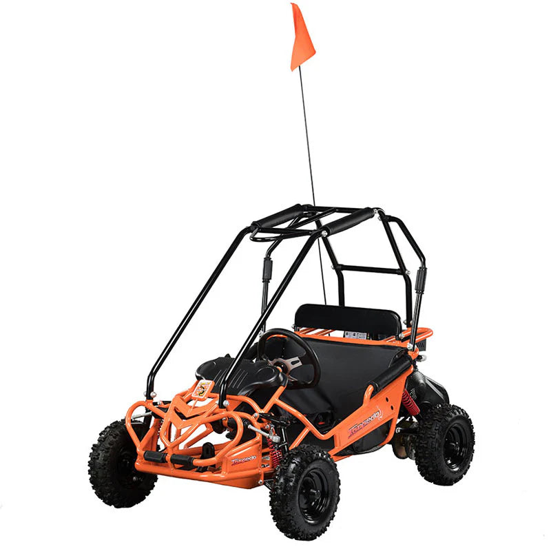 HAMMERHEAD TORPEDO 208cc KIDS BUGGY
