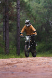 SURRON ULTRA BEE R & ULTRA BEE T