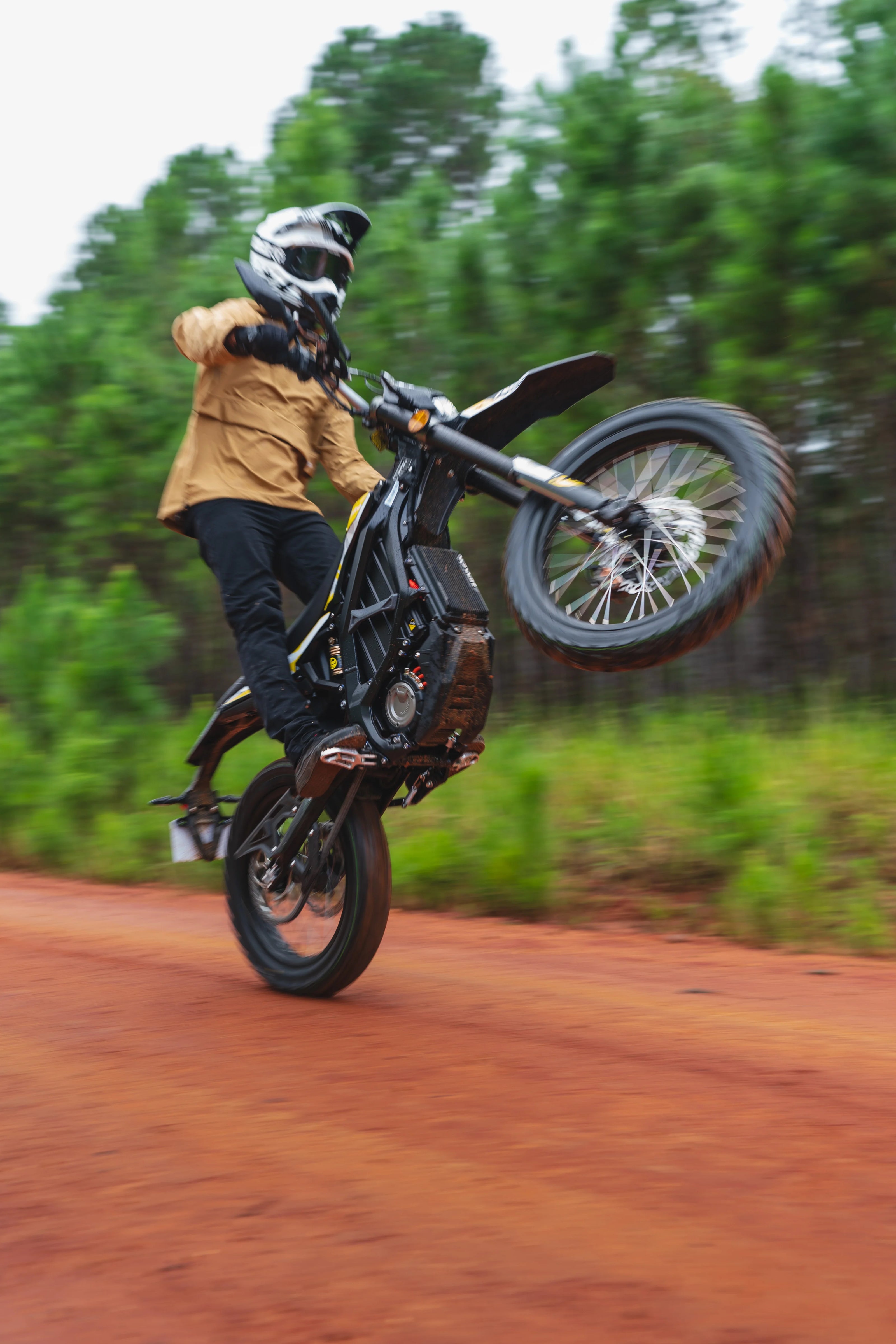 SURRON ULTRA BEE R & ULTRA BEE T