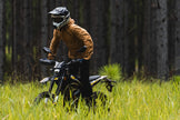 SURRON ULTRA BEE R & ULTRA BEE T