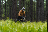 SURRON ULTRA BEE R & ULTRA BEE T