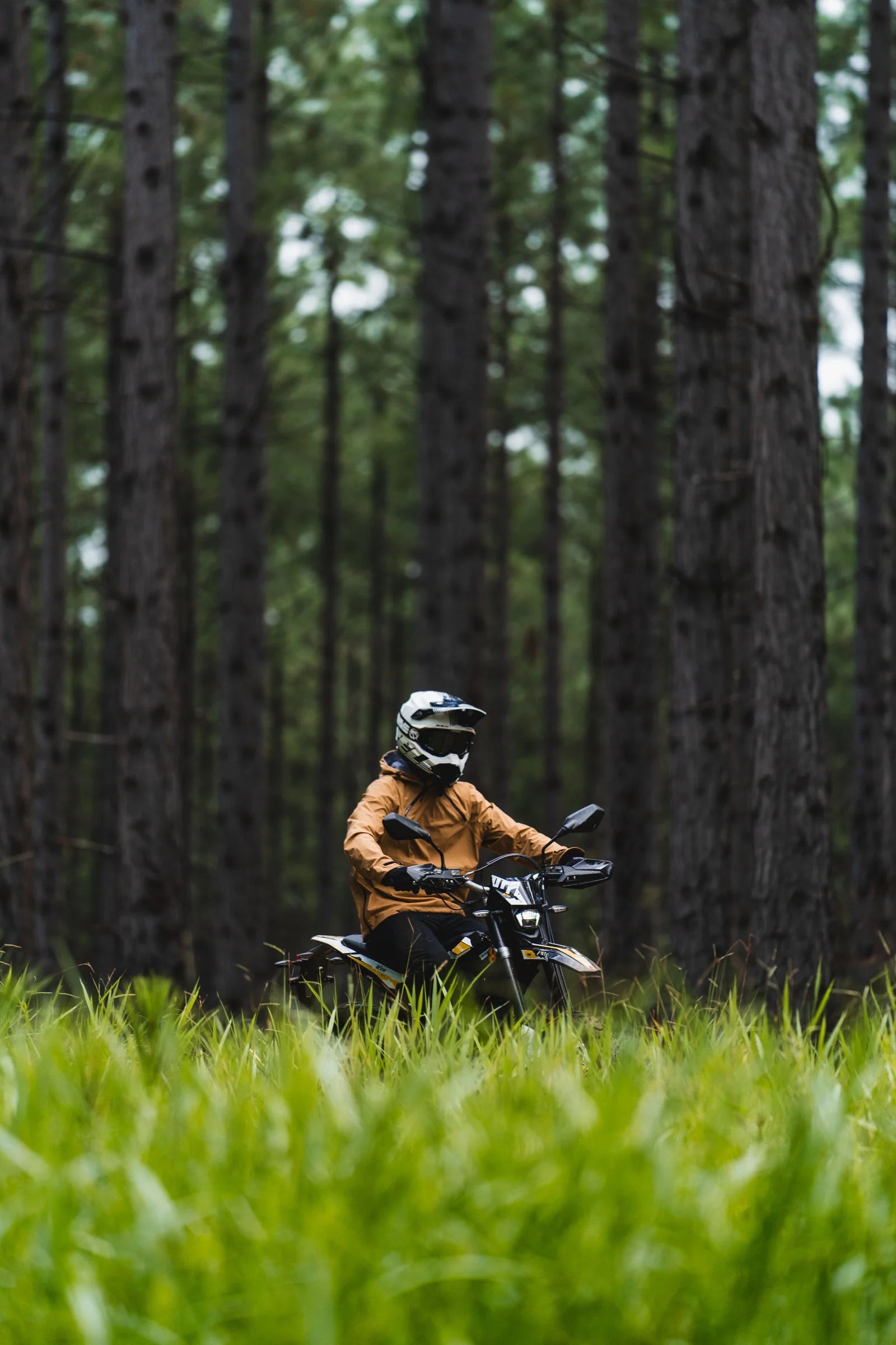 SURRON ULTRA BEE R & ULTRA BEE T
